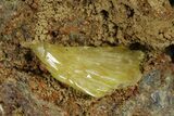 Yellow-Green Adamite Crystal Cluster - Ojuela Mine, Mexico #183427-1